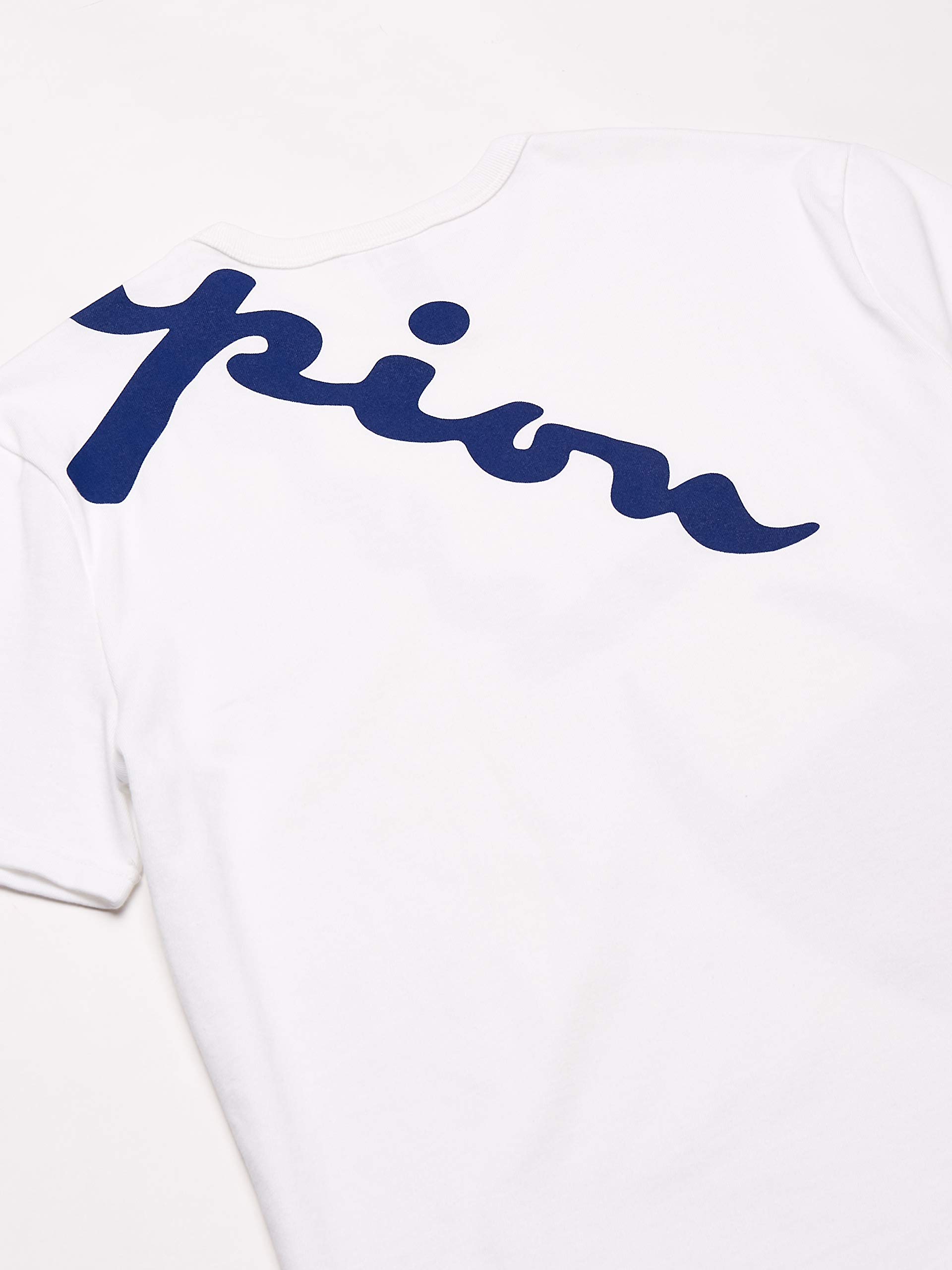 Champion Men's Vintage Heritage Short Sleeve T-Shirt - Soft Cotton Crew Neck Tee for Casual Wear, Gym & Everyday Outfits