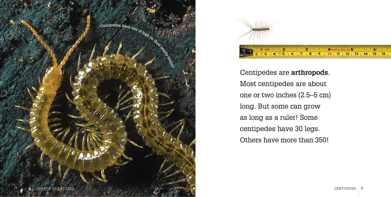 Centipedes Book - ISBN 9781583419922 | Educational Guide for Kids & Nature Enthusiasts | Perfect for Science Projects & Home Learning