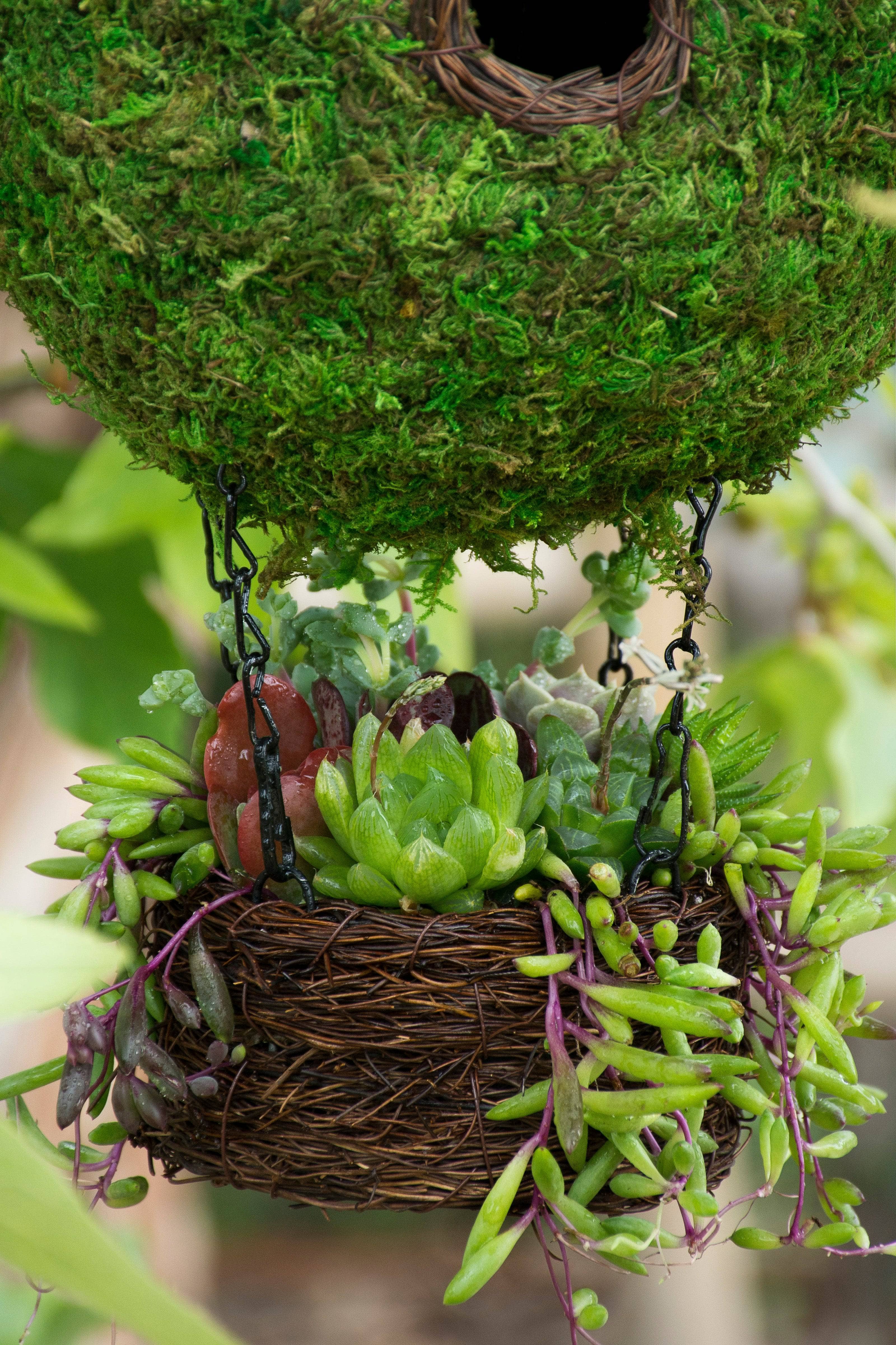 Handmade Air Balloon Moss Birdhouse - Natural Decorative Garden Bird Feeder for Outdoor & Patio Decor | Attracts Wild Birds - Perfect for Backyard, Balcony, and Garden Use