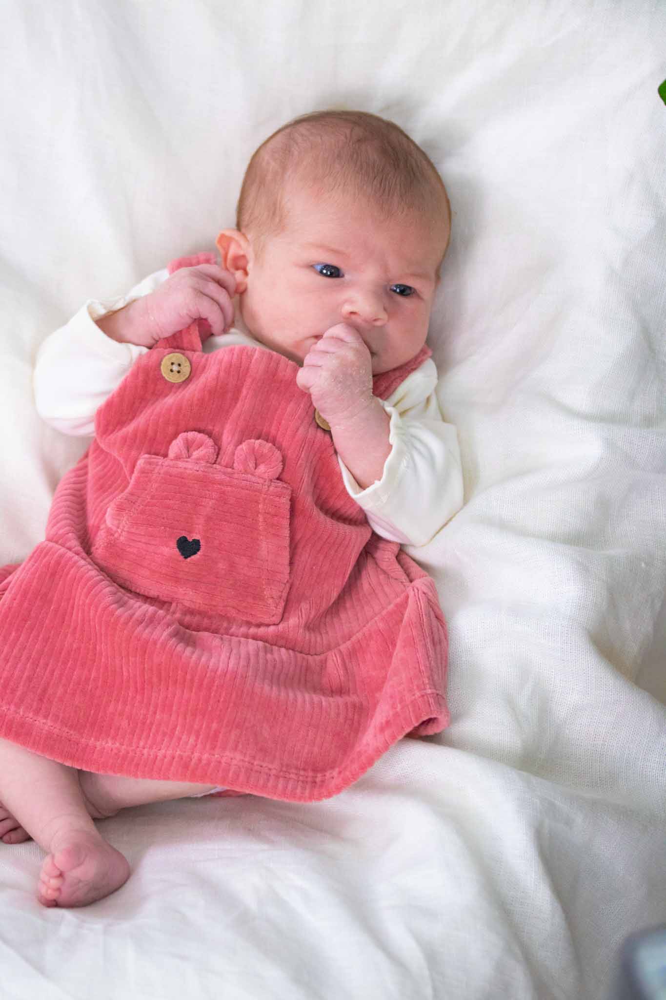 Adorable Lollipop Dungaree Bear Dress for Baby Girls - Cute & Comfortable Outfit for Playdates, Parties & Photo Shoots