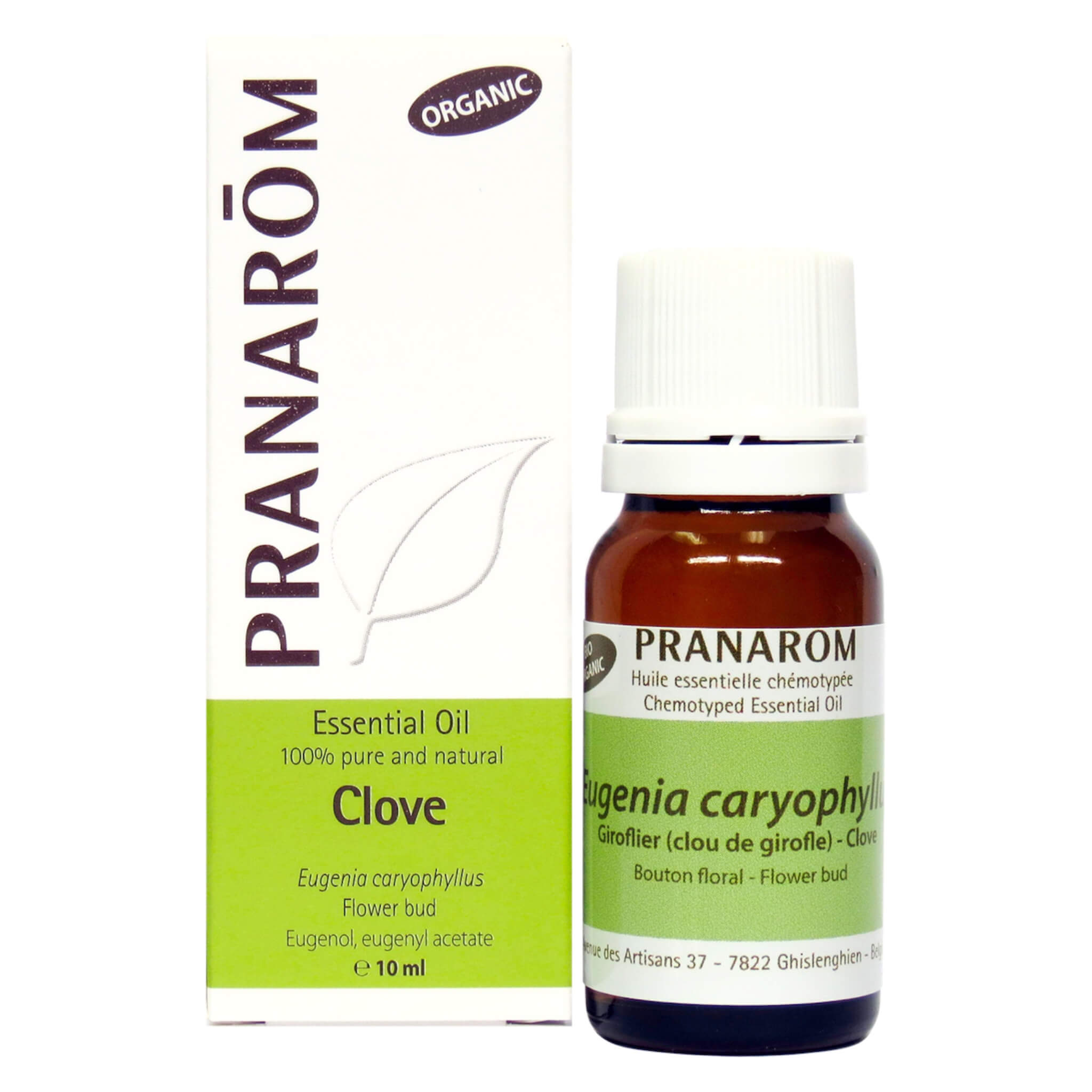 Pure Clove Essential Oil 100% Natural for Aromatherapy, Stress Relief & Skin Care - Perfect for Diffusers, Massage & DIY Beauty Products