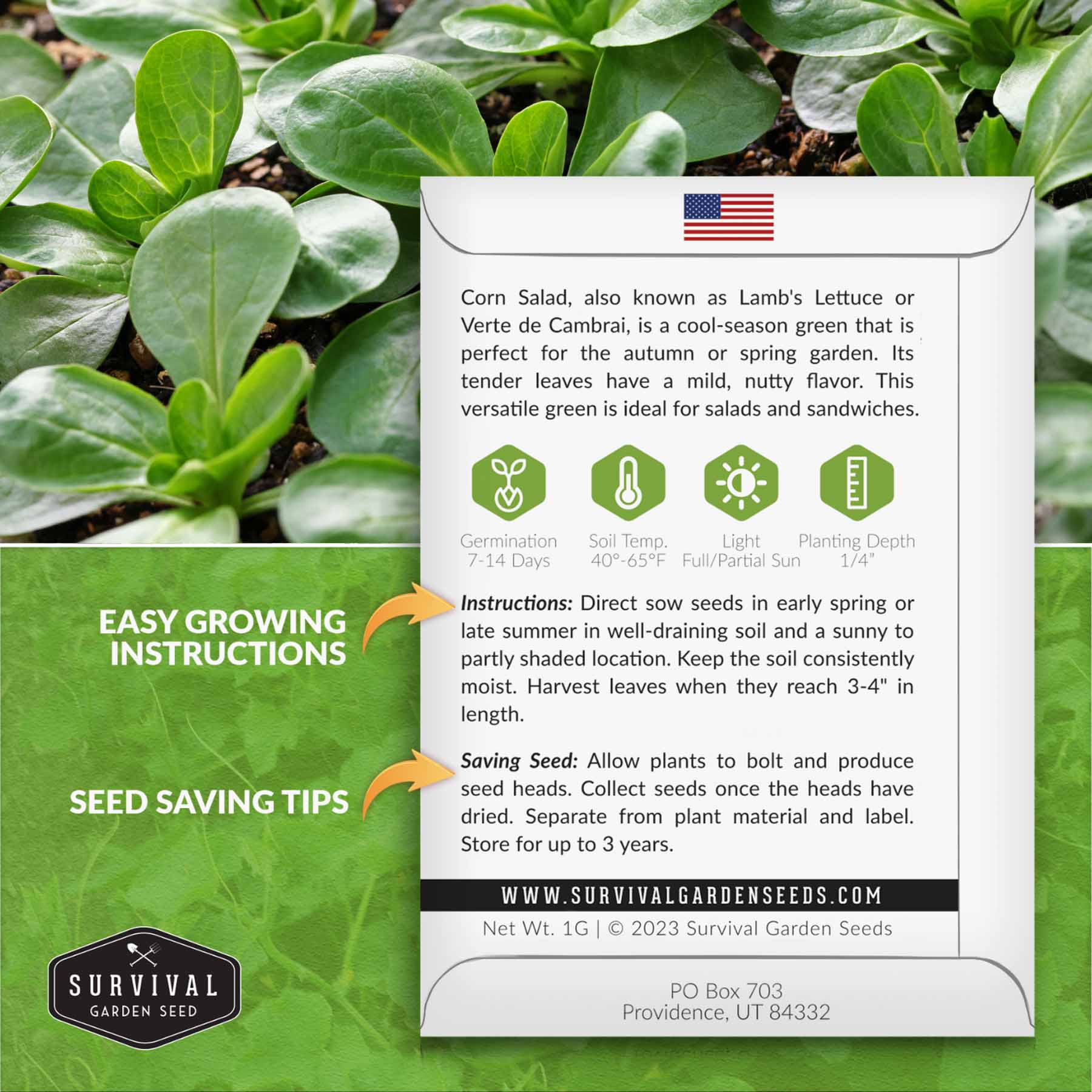 Organic Corn Salad Verte De Cambrai Seeds - Non-GMO Mache Lettuce Seeds for Home Garden, Salad Greens & Microgreens | Perfect for Fresh Salads, Gourmet Dishes & Healthy Eating
