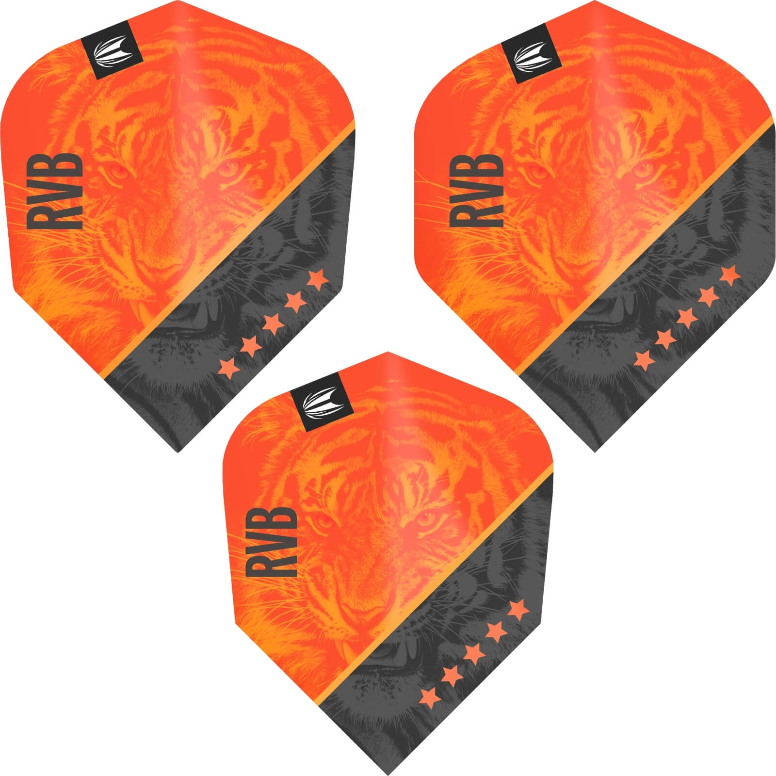 Raymond Van Barneveld Gen 4 Dart Flights - Professional Dart Accessories for Precision Play | Perfect for Home, Pub & Tournament Dart Games