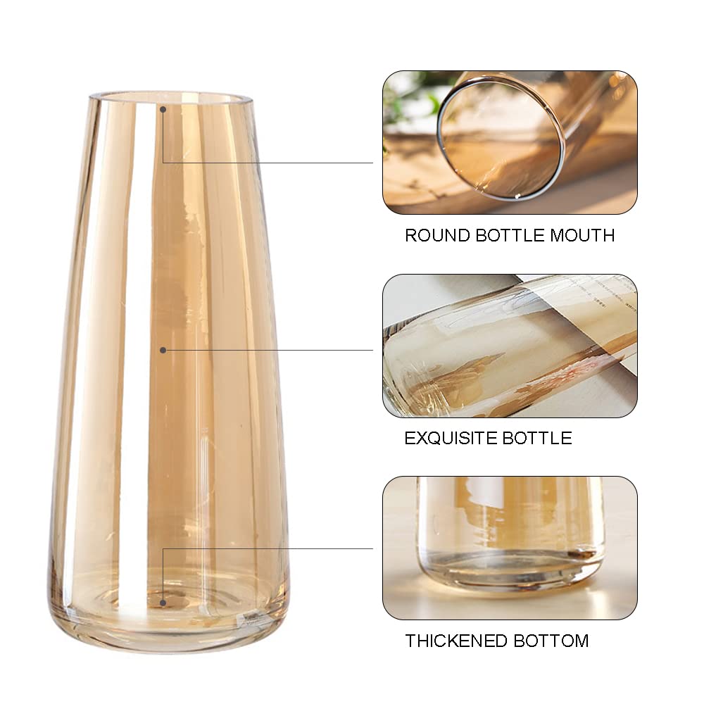 Modern Glass Flower Vase 8.7