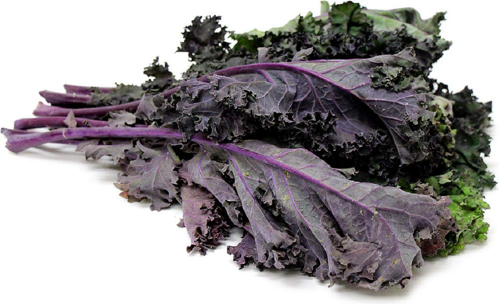 Organic Red Kale Microgreen Seeds - 2 oz Non-GMO Heirloom Seeds for Home Gardening, Smoothies & Healthy Salads | Perfect for Indoor Hydroponic & Soil Growing