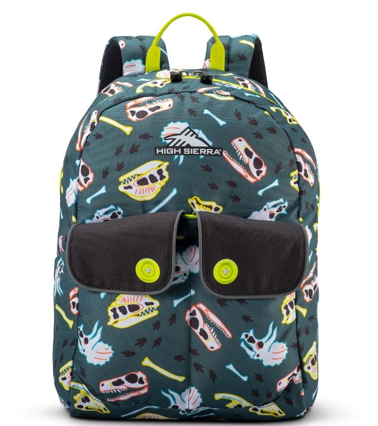 High Sierra Chiqui Backpack - Lightweight Durable School & Travel Backpack for Women & Girls - Perfect for Hiking, College, Work & Everyday Use