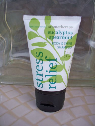 Bath & Body Works Aromatherapy Eucalyptus Spearmint Shampoo for Hair & Body - 2 Fl Oz Travel Size - Perfect for Relaxing Showers, Spa Days & On-the-Go Use