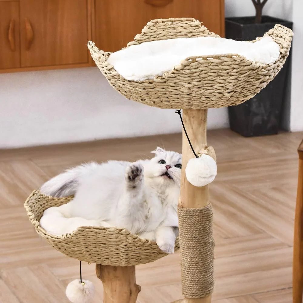 Premium Real Wood Cat Tree for Large Cats - Sturdy & Stylish Climbing Perch for Indoor Play, Scratching & Lounging - Perfect for Living Rooms, Bedrooms & Home Offices