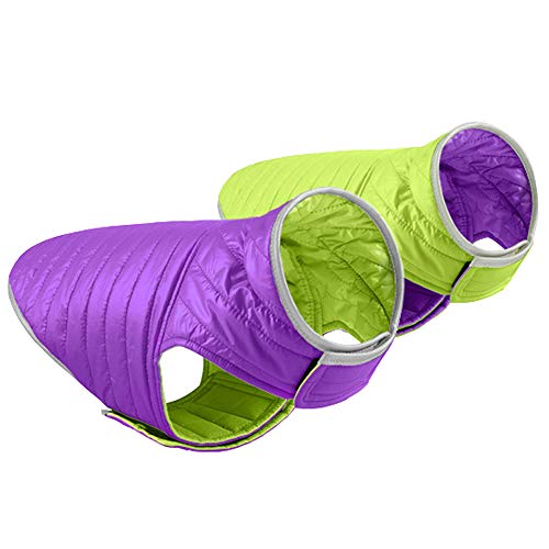 Purple/Green