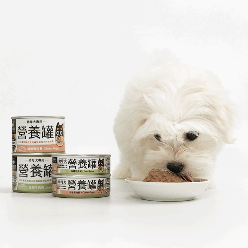 Complete Balanced Chicken Puppy Dog Food - High Protein Dry Kibble for Small & Large Breed Puppies - Perfect for Training, Growth & Daily Nutrition