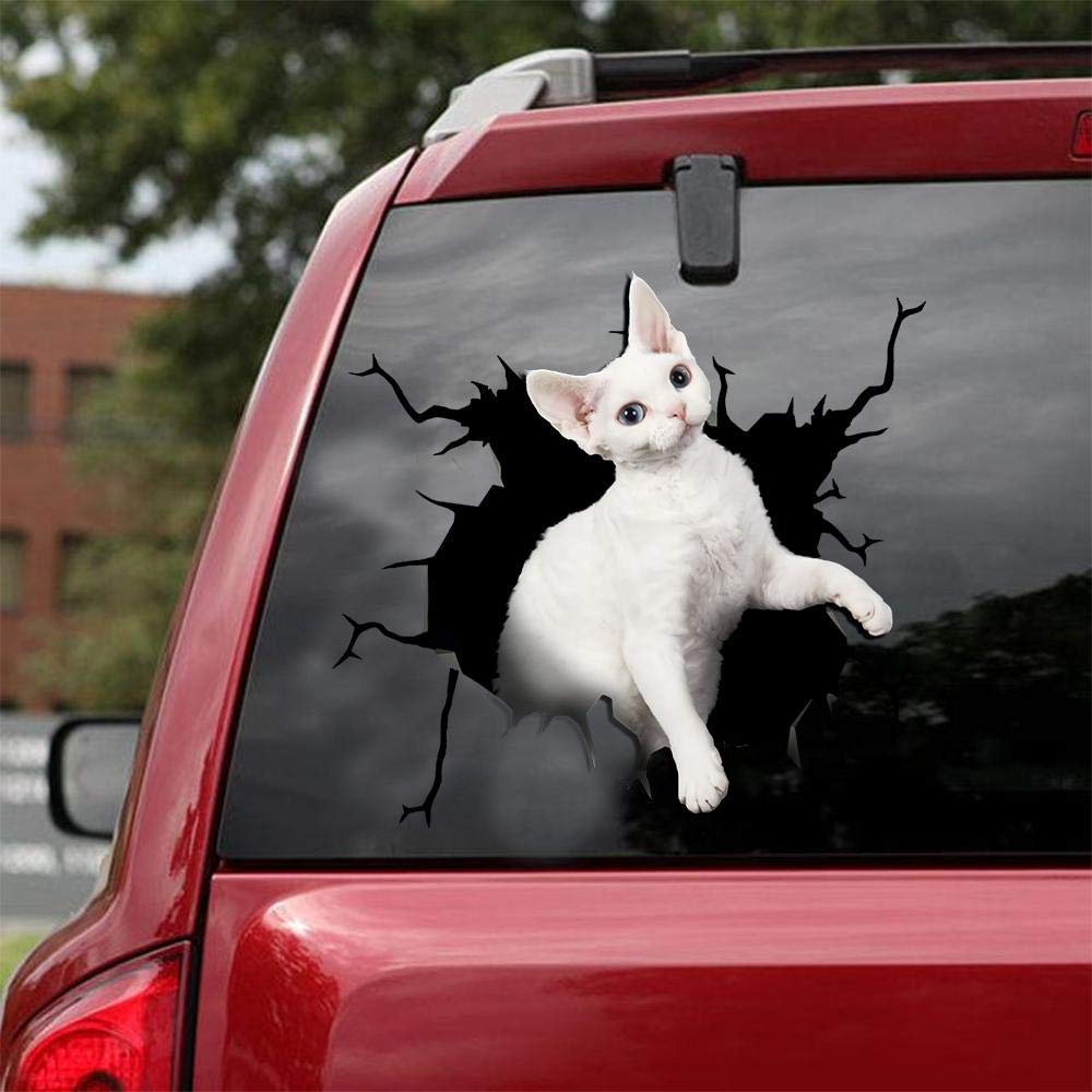 Realistic Devon Rex Cat Car & Wall Decals Stickers - Pack of 2 (8