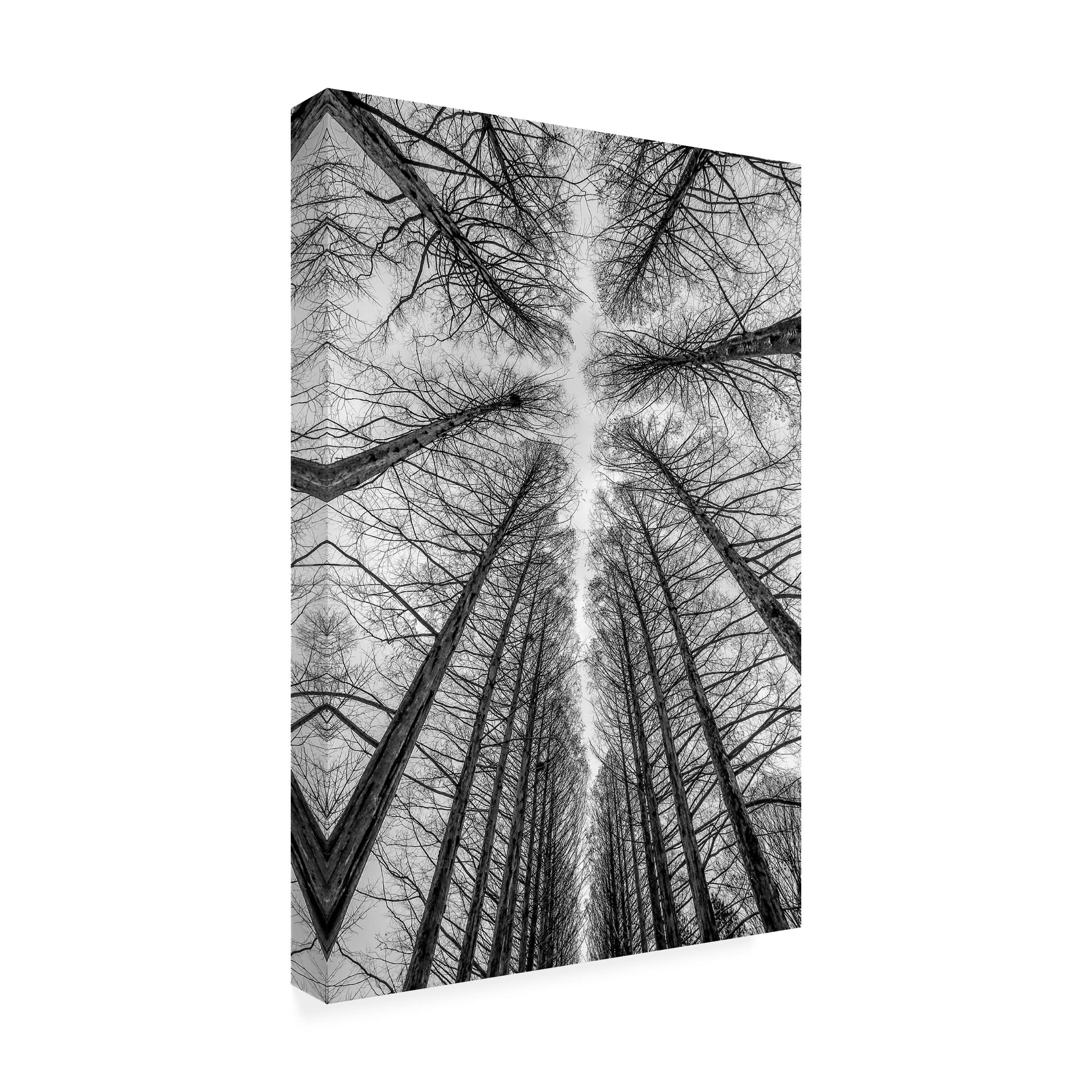 Trademark Fine Art 'The Road' Canvas Wall Art by Ronni Santoso - Hand-Painted Landscape Painting for Living Room, Bedroom & Office Decor