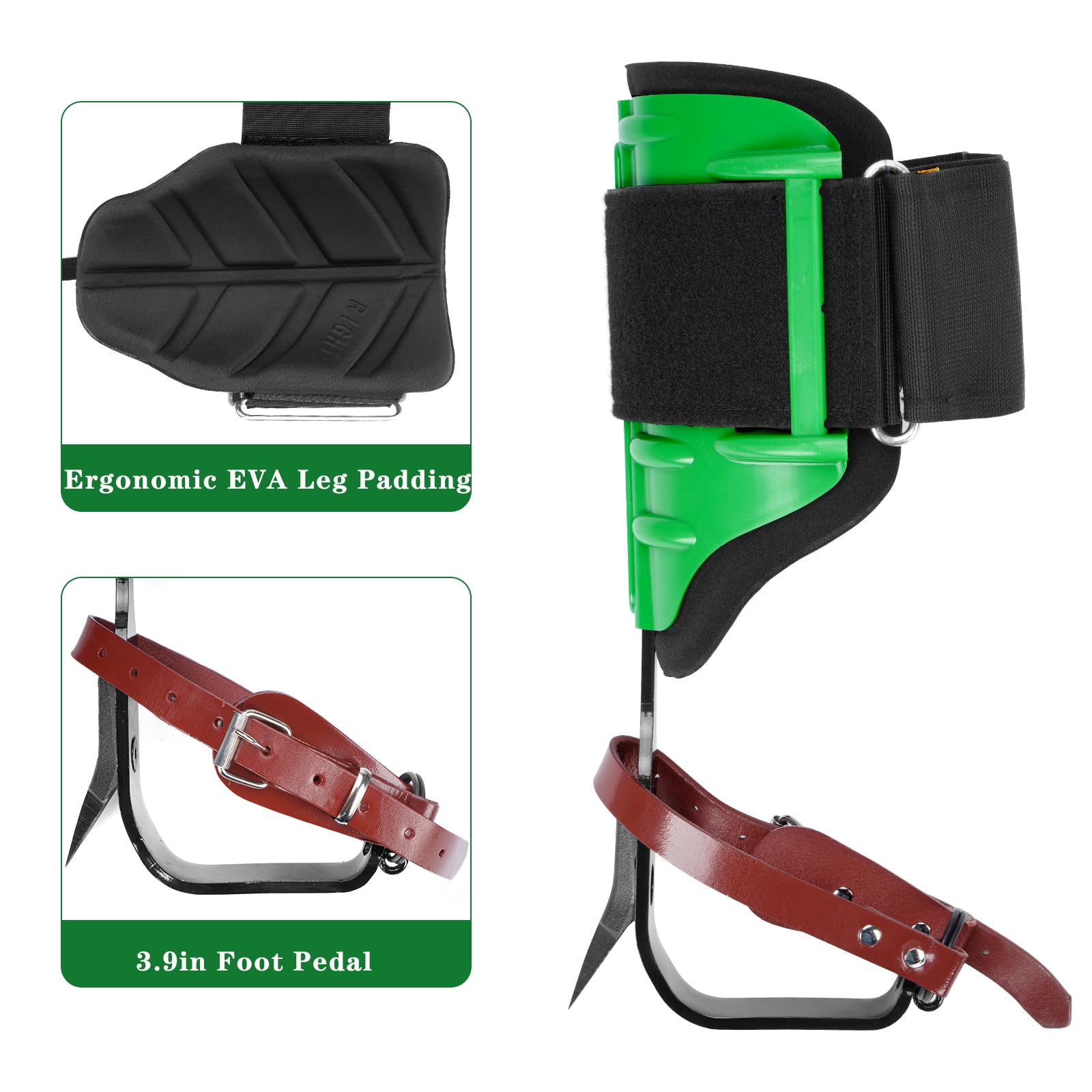 Professional Tree Climbing Spikes & Gaffs with Soft Padding - Adjustable Height Arborist Gear for Tree Climbing, Fruit Picking, Logging & Hunting Observation - Perfect for Outdoor Enthusiasts and Professional Climbers