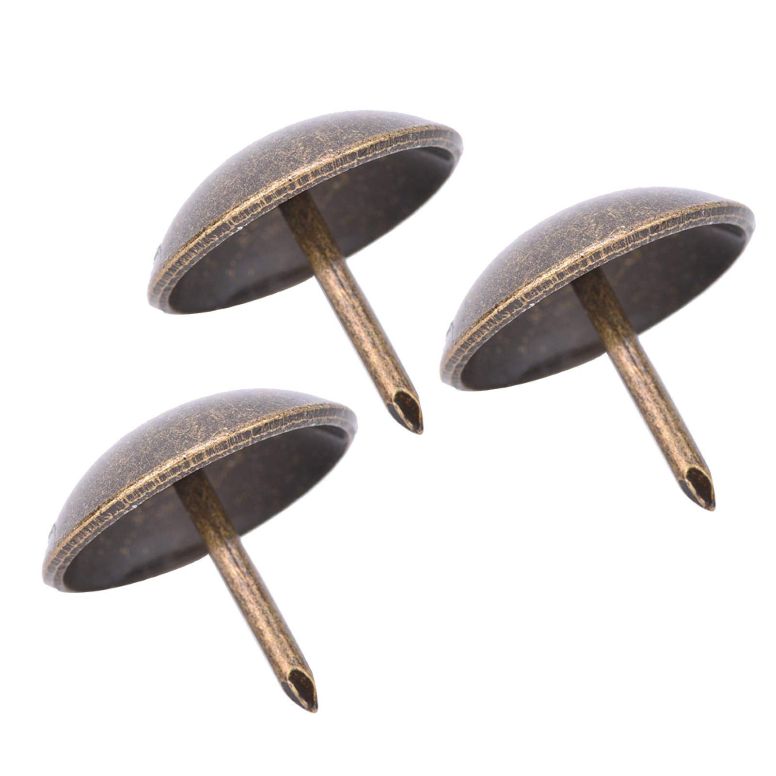 50Pcs Thickened Upholstery Tacks - 19x20mm Round Head Decorative Nails for Furniture, DIY Upholstery & Home Decor | Perfect for Sofa, Chair, Headboard & Cabinet Hardware Upgrade