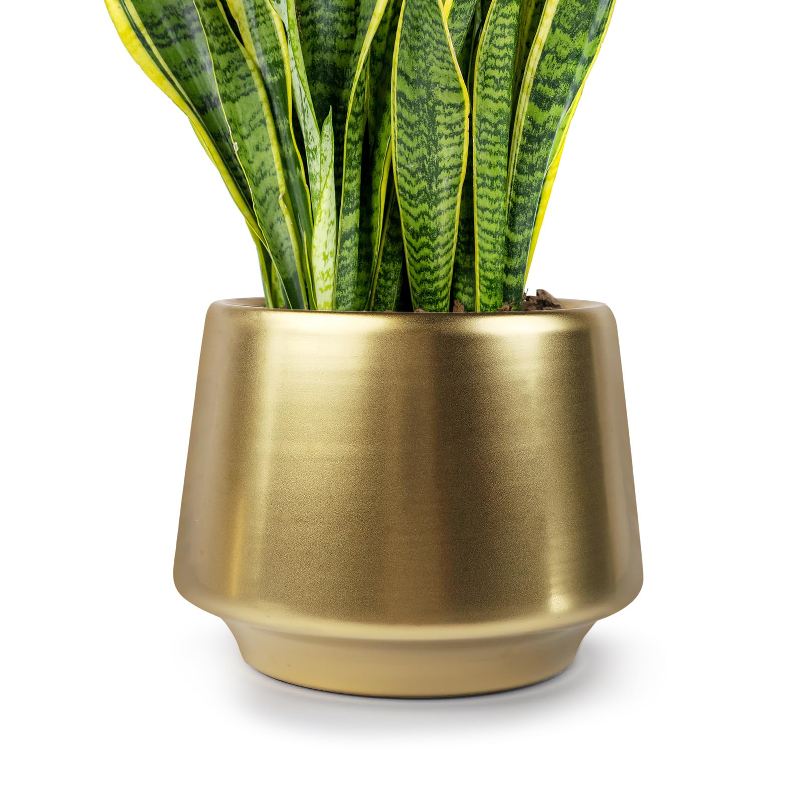 6 Inch Gold Planter Flower Pots - Decorative Indoor Succulent Plant Containers in Brass Finish (5.9