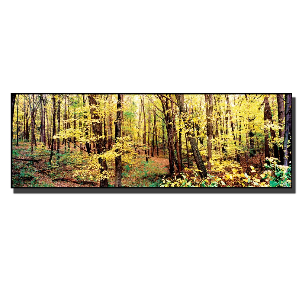 Preston Trademark Art Trees Canvas Wall Art - 16x47 Inches - Modern Nature Landscape Painting for Living Room, Bedroom & Office Decor
