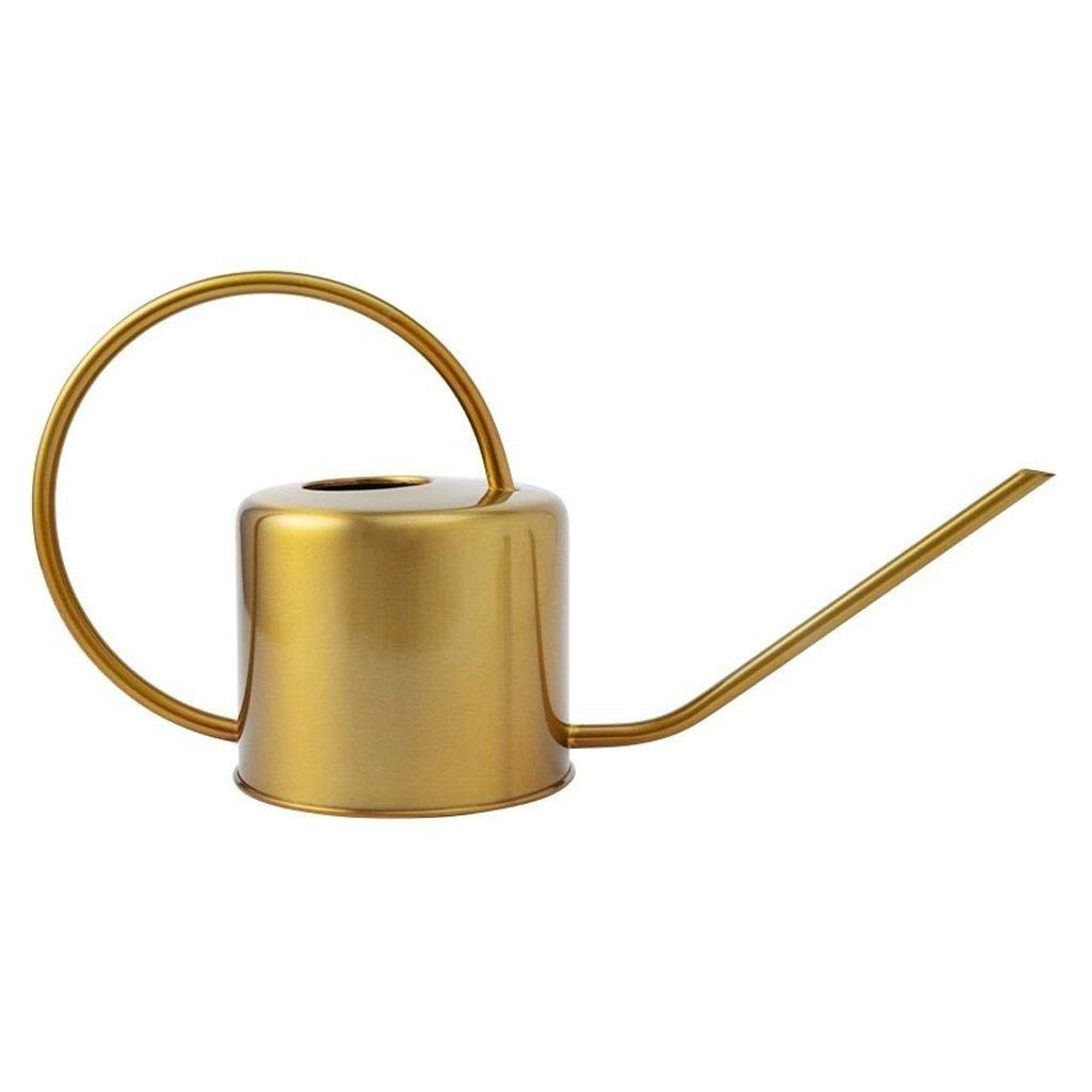 Premium Stainless Steel Watering Can - Vintage Brass Finish, Indoor & Outdoor Plant Watering Device for Home Garden, Balcony, and Patio Use - Durable Gardening Water Bottle for Flowers, Herbs, and Houseplants