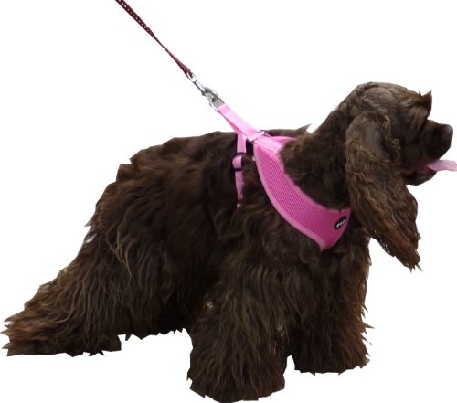 **Soft Mesh Dog Harness for Small Puppies - Adjustable & Breathable, Red - Perfect for Travel, Walking & Outdoor Adventures**