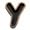 Y