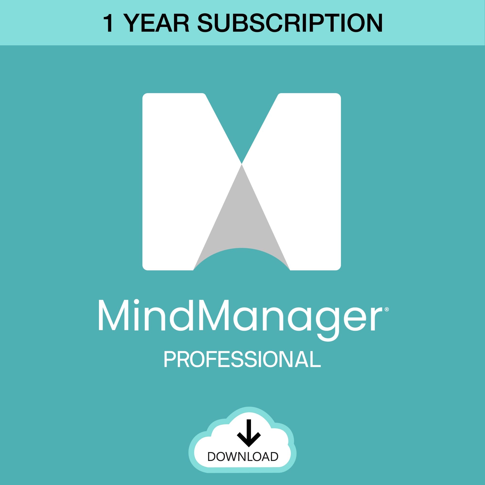 MindManager Professional 1 Year Subscription - Powerful Mind Mapping & Visualization Software for PC & Mac | Boost Productivity, Brainstorming & Project Planning