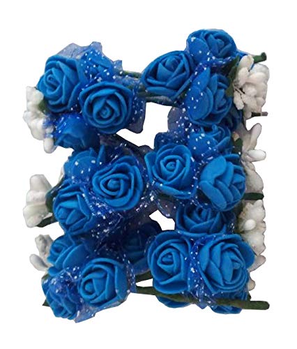 Blue/White Pips