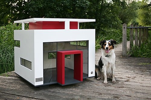Cubix Dog House - Waterproof & Insulated Outdoor Dog Kennel for Small to Large Dogs - Perfect for Backyard, Patio, or Camping Use