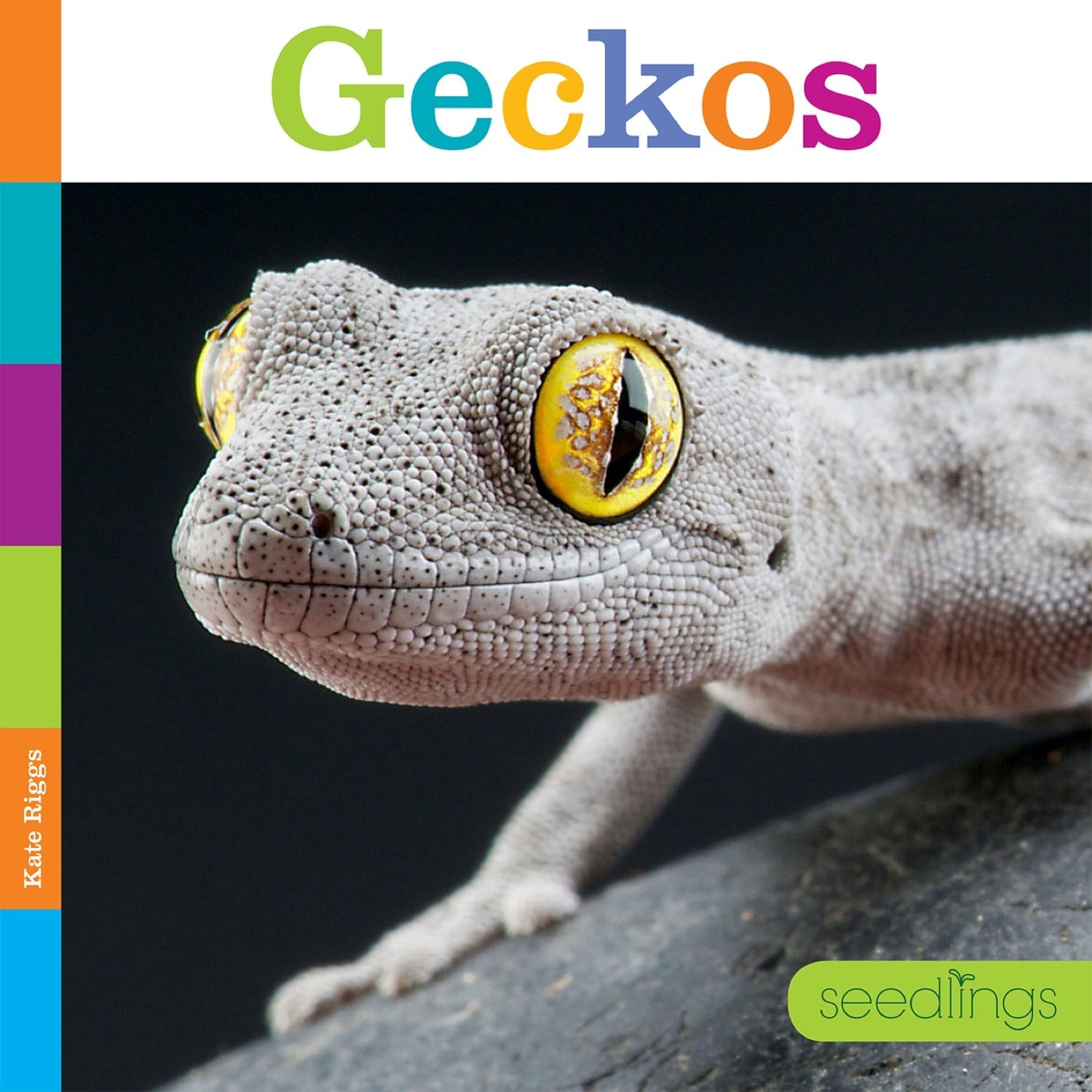 Geckos Book - ISBN 9781608188680 - Perfect for Reptile Lovers & Science Education