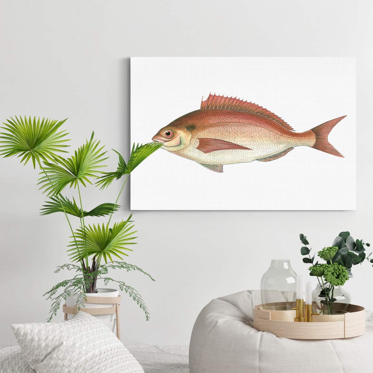 Antique Fish III Wall Art - Red Seabream Wildlife Print | Premium Gallery Wrapped Canvas Decor for Cabin, Lodge & Fishing Theme | Ready to Hang 32x48 Inches | Made in USA | Perfect for Home, Office & Coastal Decor