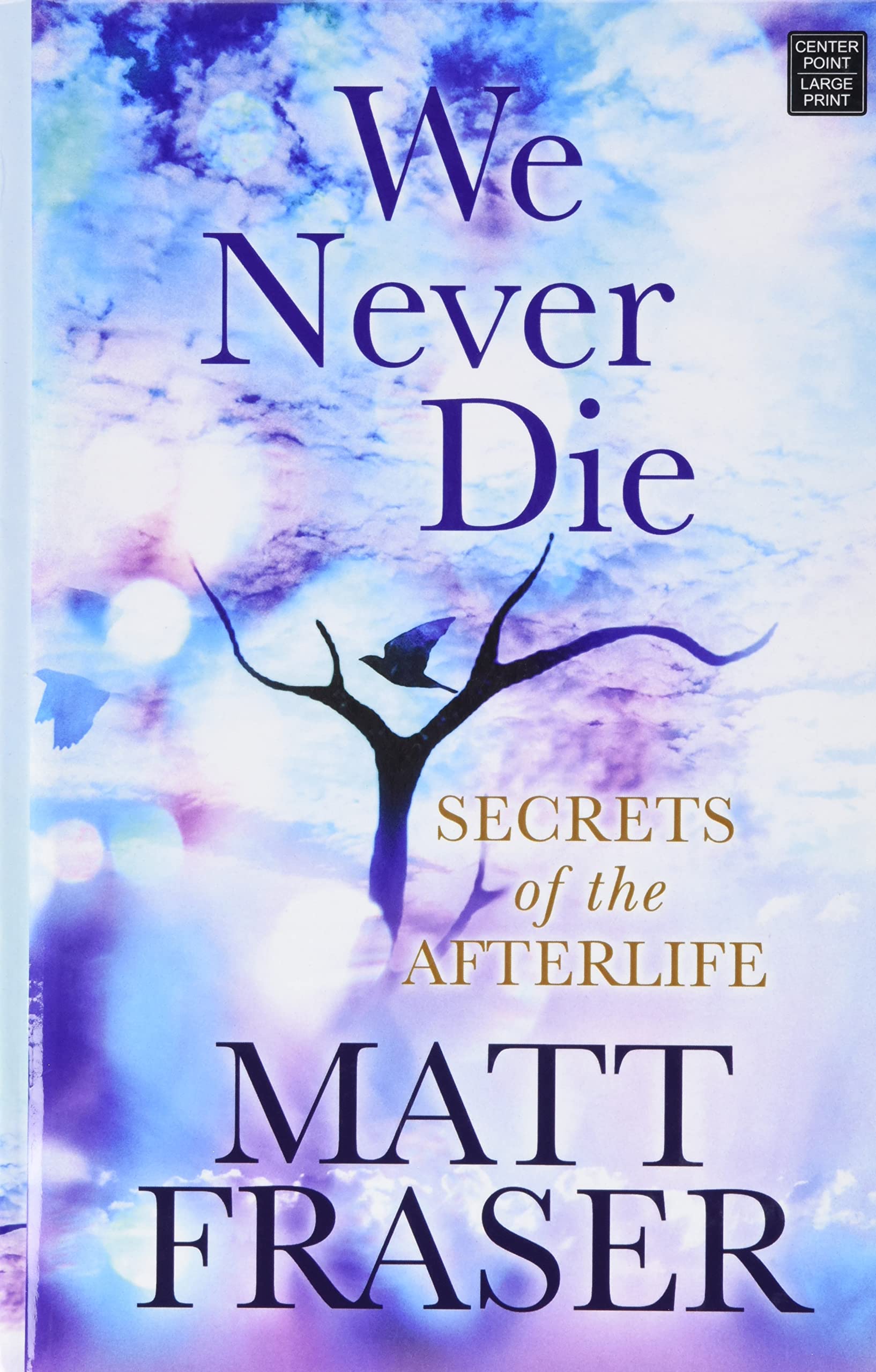 We Never Die: Secrets of the Afterlife - Spiritual Book About Life After Death for Meditation & Personal Growth