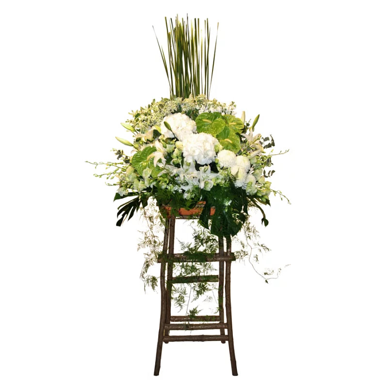 Sympathy 18 - Thoughtful Gifts for Condolences & Comfort | Perfect for Funeral Flowers, Memorial Services & Showing Support