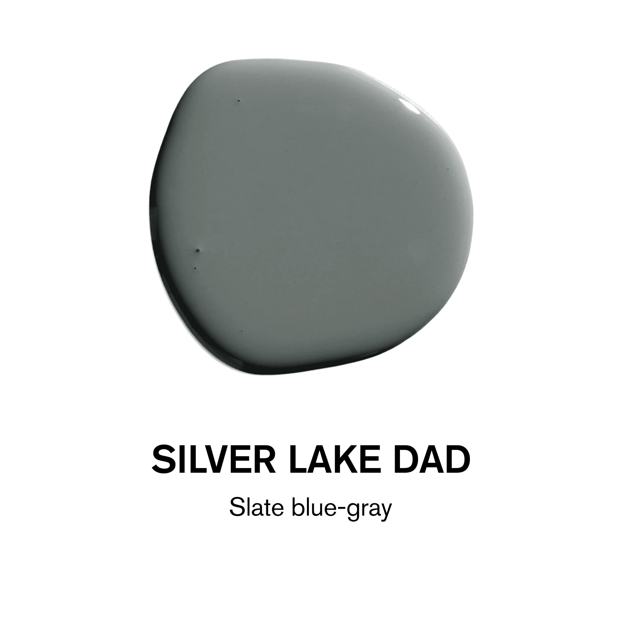 Premium Interior Paint - Semi-Gloss Finish for Trim & Doors | Self-Priming, Low VOC, Eco-Friendly | SILVER LAKE DAD Slate Blue Gray | 5 Gallons | Perfect for Home Renovation, DIY Projects & Professional Use