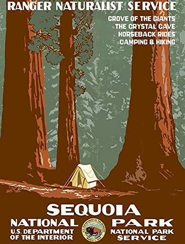 Vintage 1930s Sequoia National Park Travel Advertising Magnet - Retro Souvenir for Fridge, Office & Travel Memorabilia Collectors