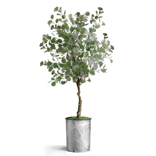 Modern Planter - 24013102