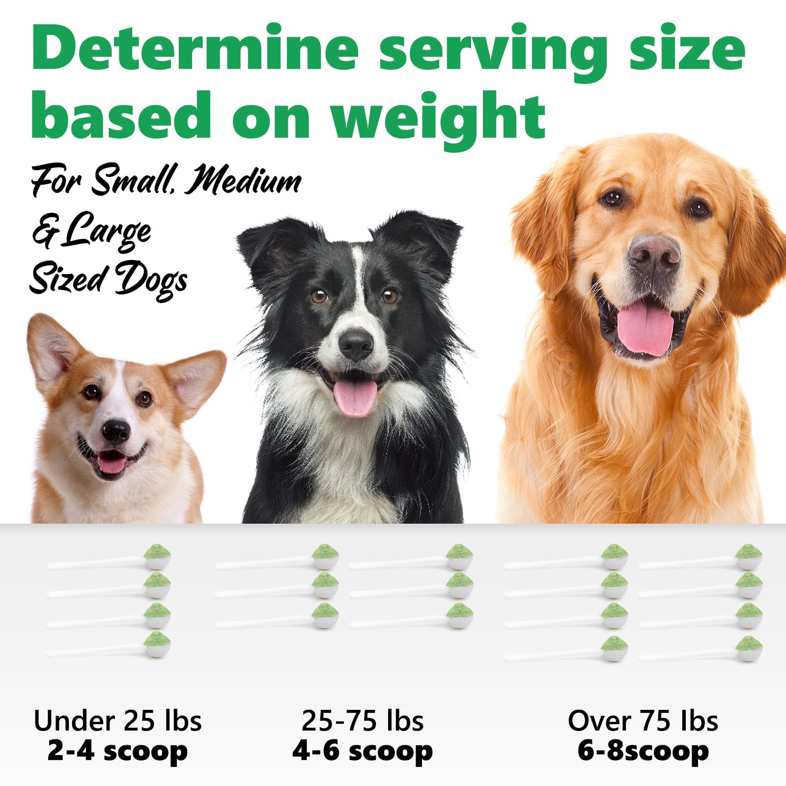 Natural Dog Teeth Cleaning Powder with Probiotics - Freshens Breath, Reduces Plaque & Tartar - Dental Powder for Small, Medium & Large Dogs (30g) - Perfect for Daily Oral Care & Bad Breath Prevention