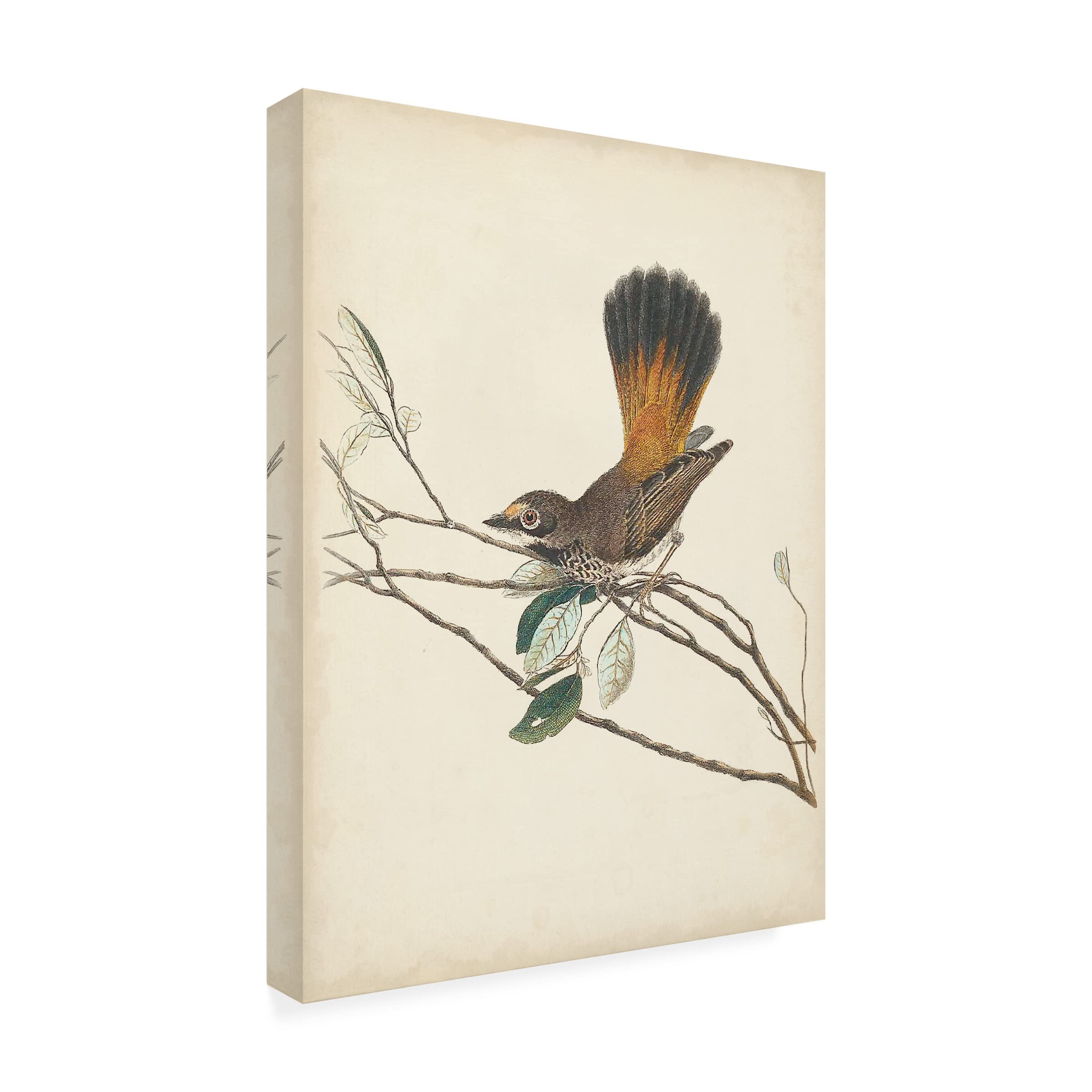 Graceful Birds II Canvas Wall Art by Vision Studio - Hand-Painted Floral & Bird Decor for Living Room, Bedroom, or Office