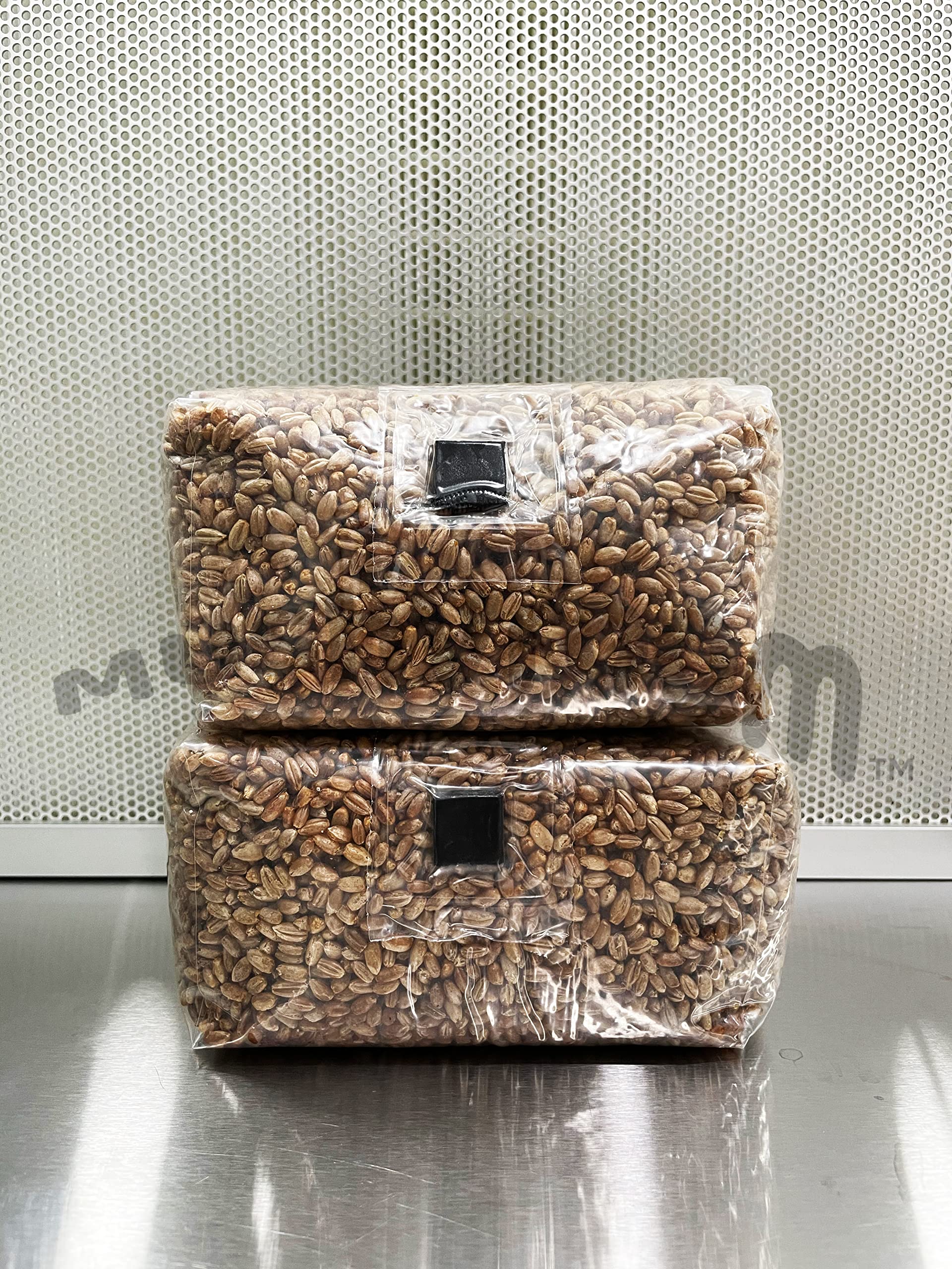Organic Sterilized Rye Berry Grain Bags - Biodegradable Mushroom Growing Substrate for Home Cultivation & Mycology Labs | Perfect for Oyster, Shiitake, and Lion's Mane Mushrooms