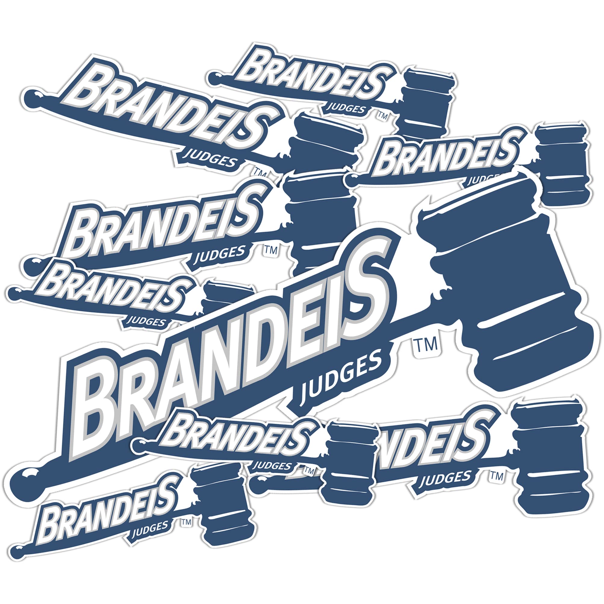 Desert Cactus Brandeis University Vinyl Decals - Premium Judge Stickers for Laptop, Water Bottle, Car & Scrapbook - T3 (Type 3-1) - Perfect for College Pride, Gifts & School Spirit Decorations