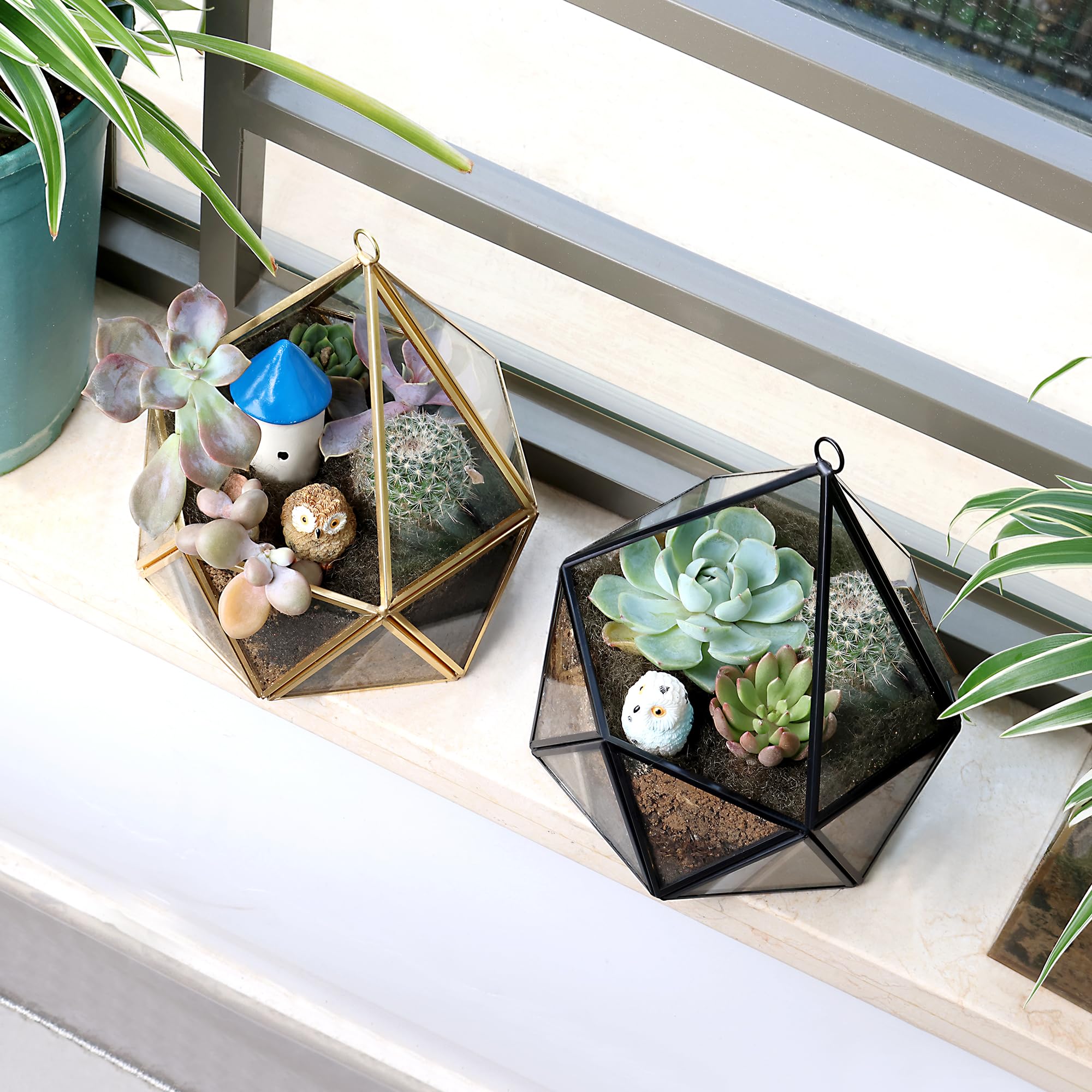Geometric Glass Terrarium for Succulents & Air Plants - Black Hanging Planter - Perfect for Home Decor, Office Desk, and Wedding Centerpieces (No Plants Included)
