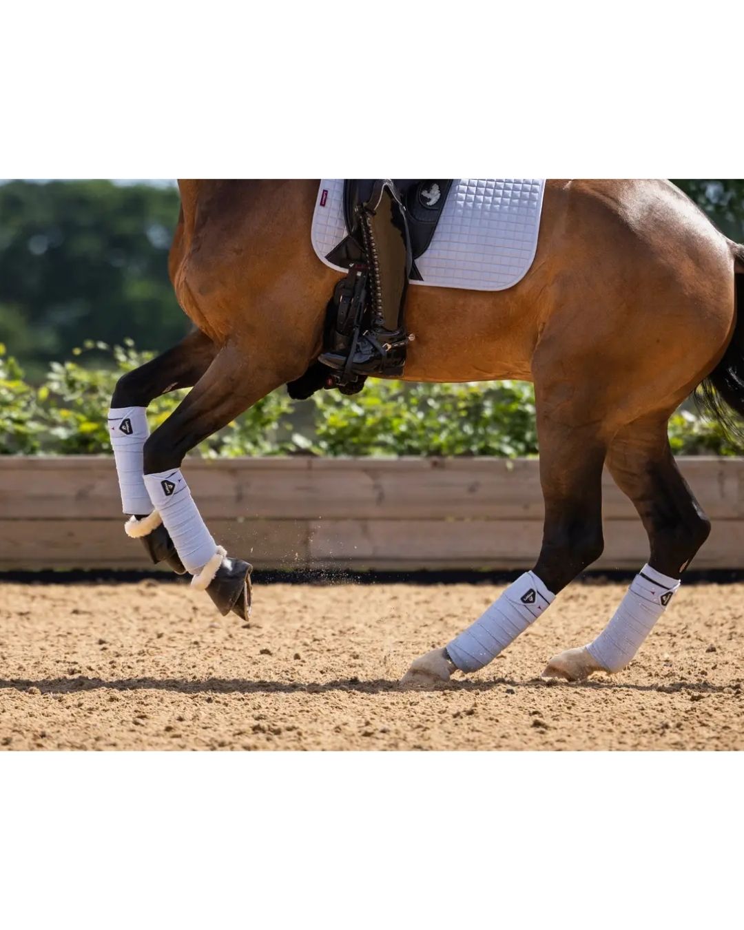 LeMieux Classic Polo Bandages for Horses - Breathable & Supportive Leg Wraps for Riding, Training & Competition