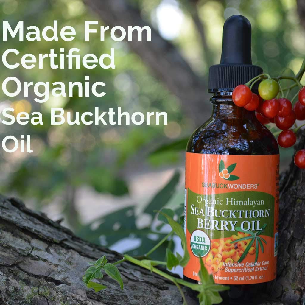 Organic Sea Buckthorn Berry Oil - 100% Pure & Certified, 1.76 Fl Oz (Pack of 12) - Cold Pressed, Rich in Omega 7, for Skin Care, Hair Growth & Immune Support