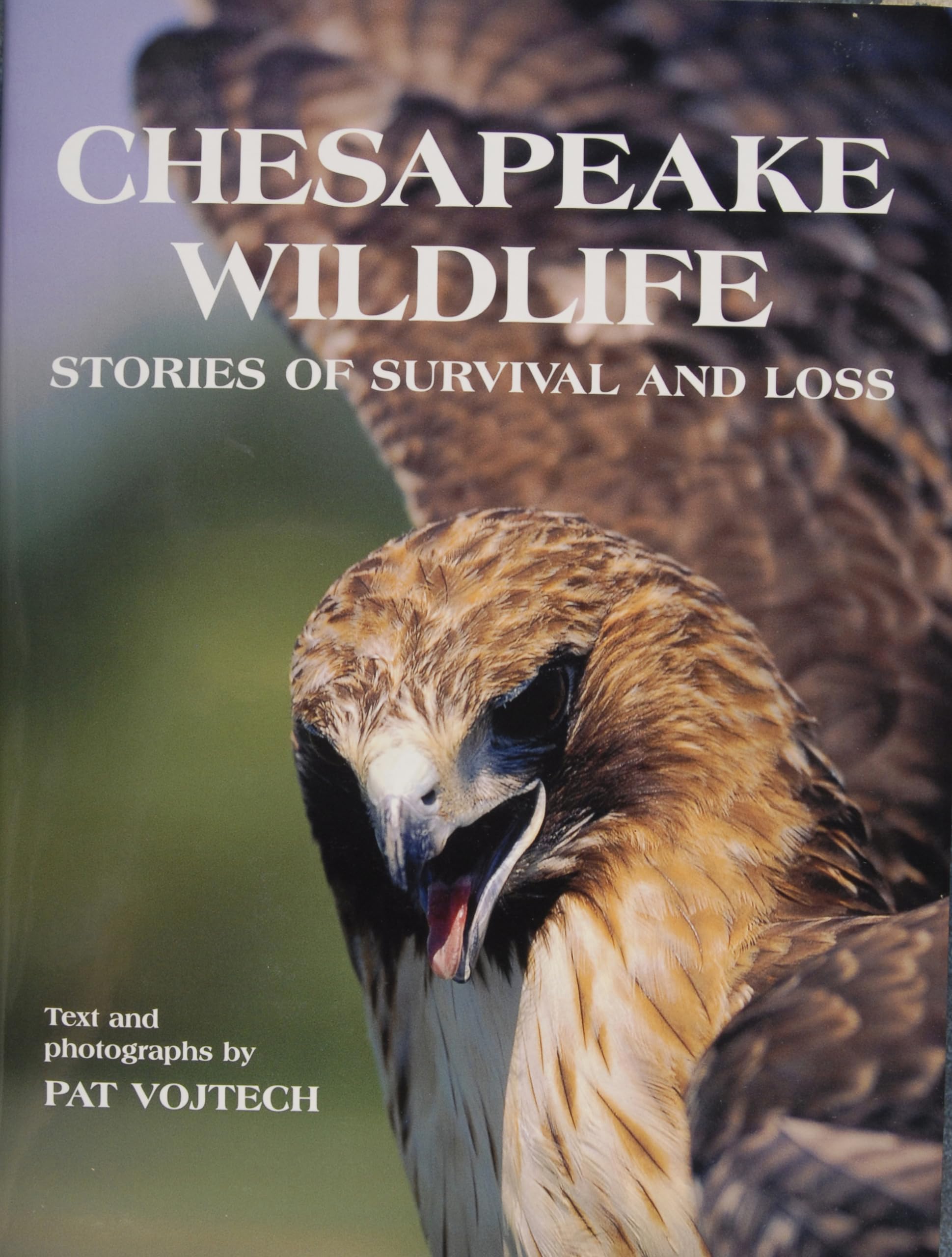 Chesapeake Wildlife: Stories of Survival and Loss - Inspiring Nature Book for Conservationists & Animal Lovers | Perfect for Reading, Gifts & Environmental Education