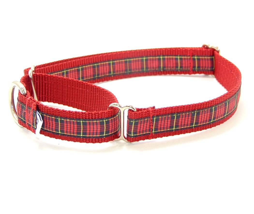 XL Martingale Dog Collar 1