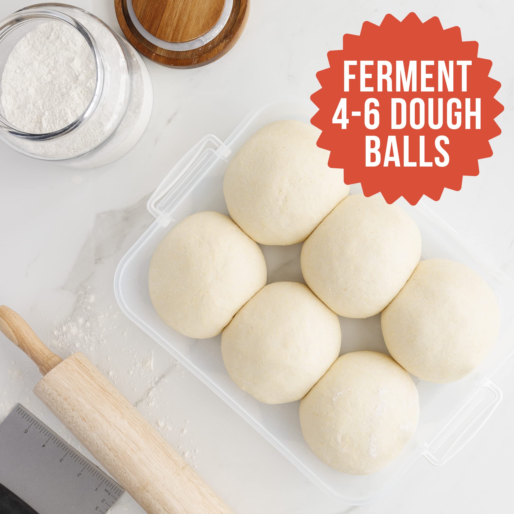 Professional Pizza Dough Proofing Box - 14 x 11 Inch Dough Rising Container for 4-6 Balls, Home Pizza Making Kit with Carry Handle (Grey) | Perfect for Homemade Pizza, Bread & Pastry Dough Preparation in Kitchen, Bakery & Restaurants