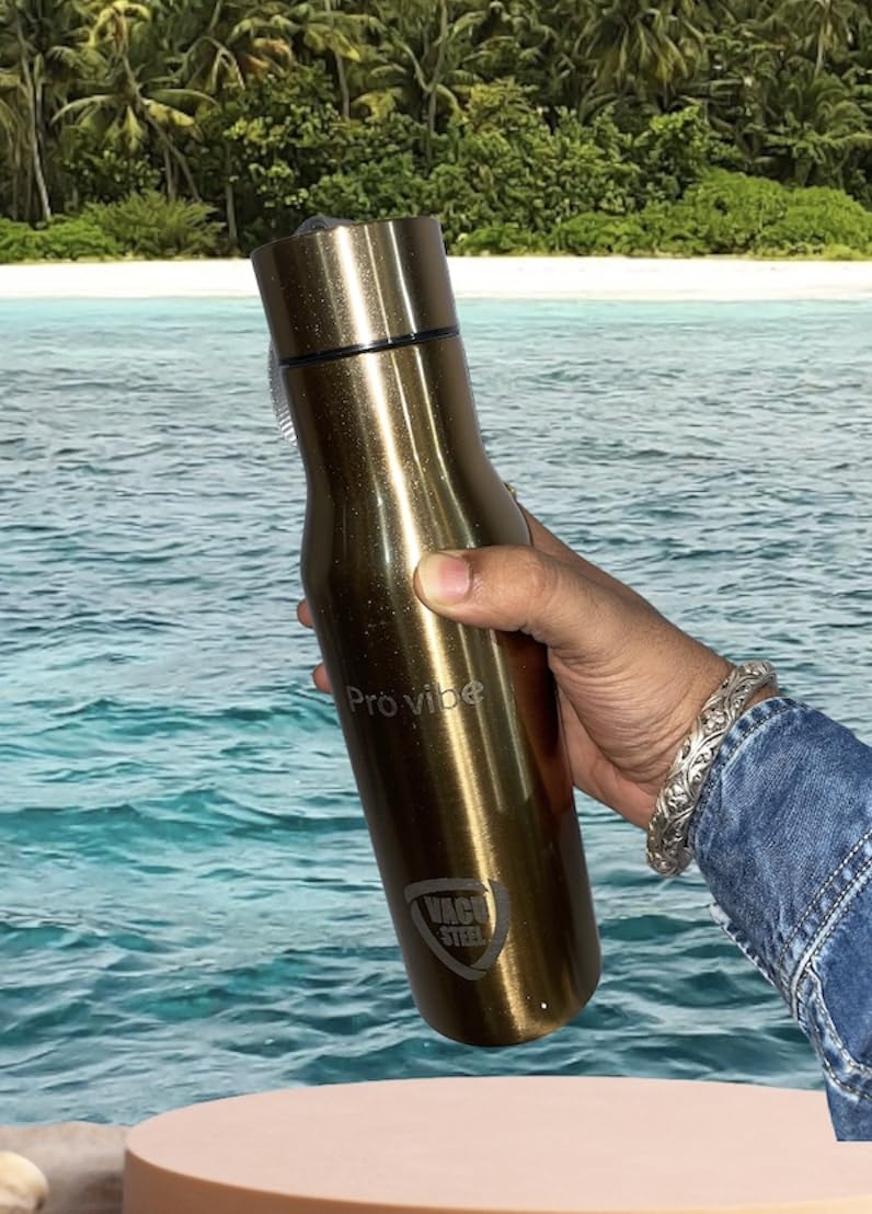 LAL Dayal ProVibe Fashion 800ml Stainless Steel Vacuum Insulated Water Bottle - Keeps Drinks Hot/Cold for 24 Hours - Ideal for Gym, Hiking, Office & Travel (Model 10081526)