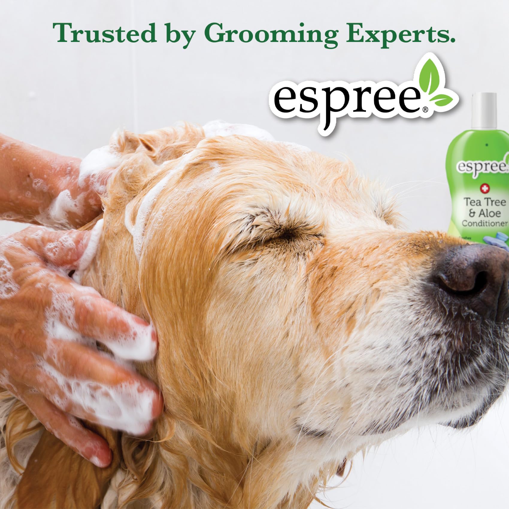 Espree Tea Tree & Aloe Medicated Shampoo for Dogs & Cats - 1 Gallon, Itchy Skin Relief & Soothing Treatment - Perfect for Bathing Pets with Allergies & Skin Irritations