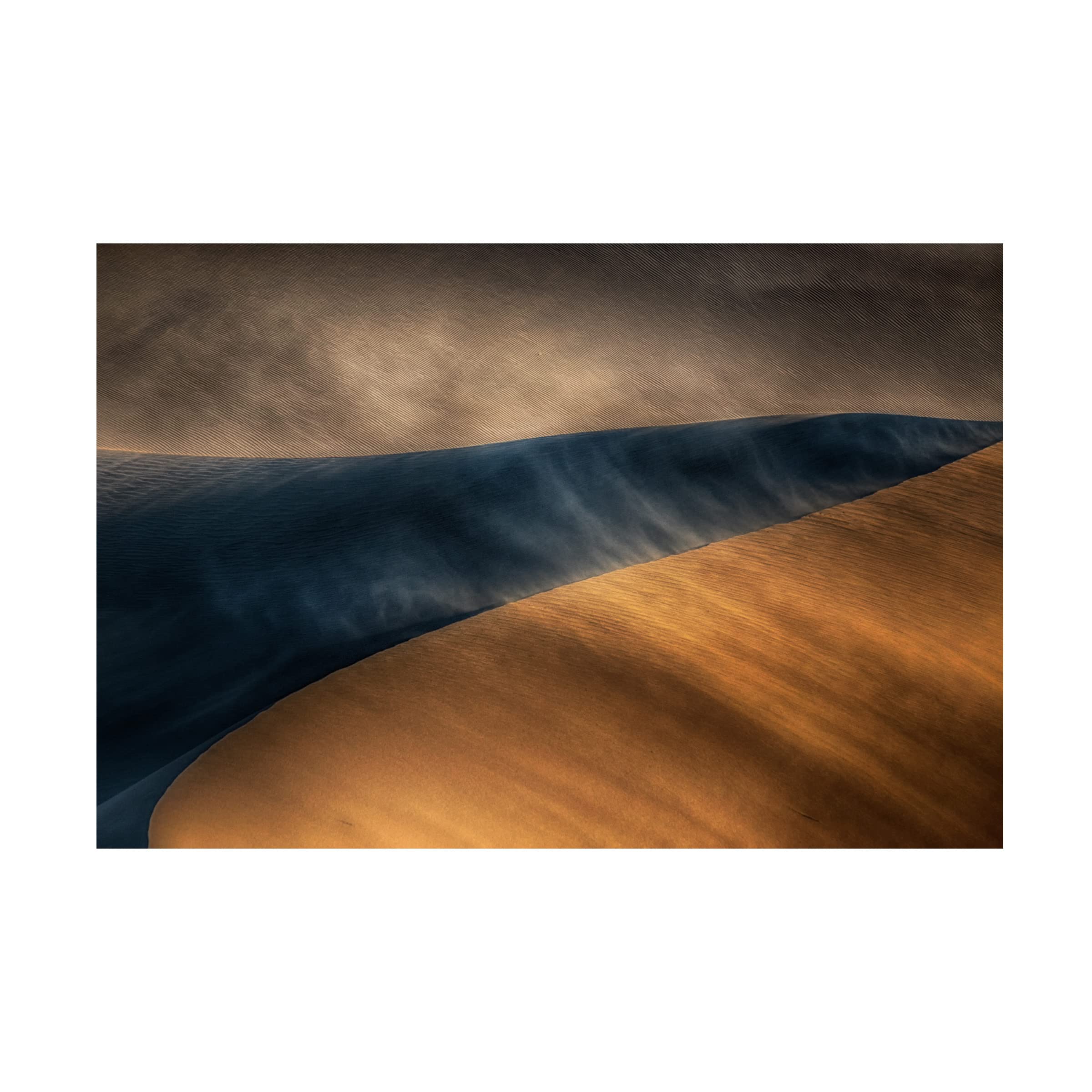 Trademark Fine Art 'Confrontation' Canvas Wall Art by Babak Mehrafshar - Modern Abstract Painting for Living Room, Bedroom & Office Decor