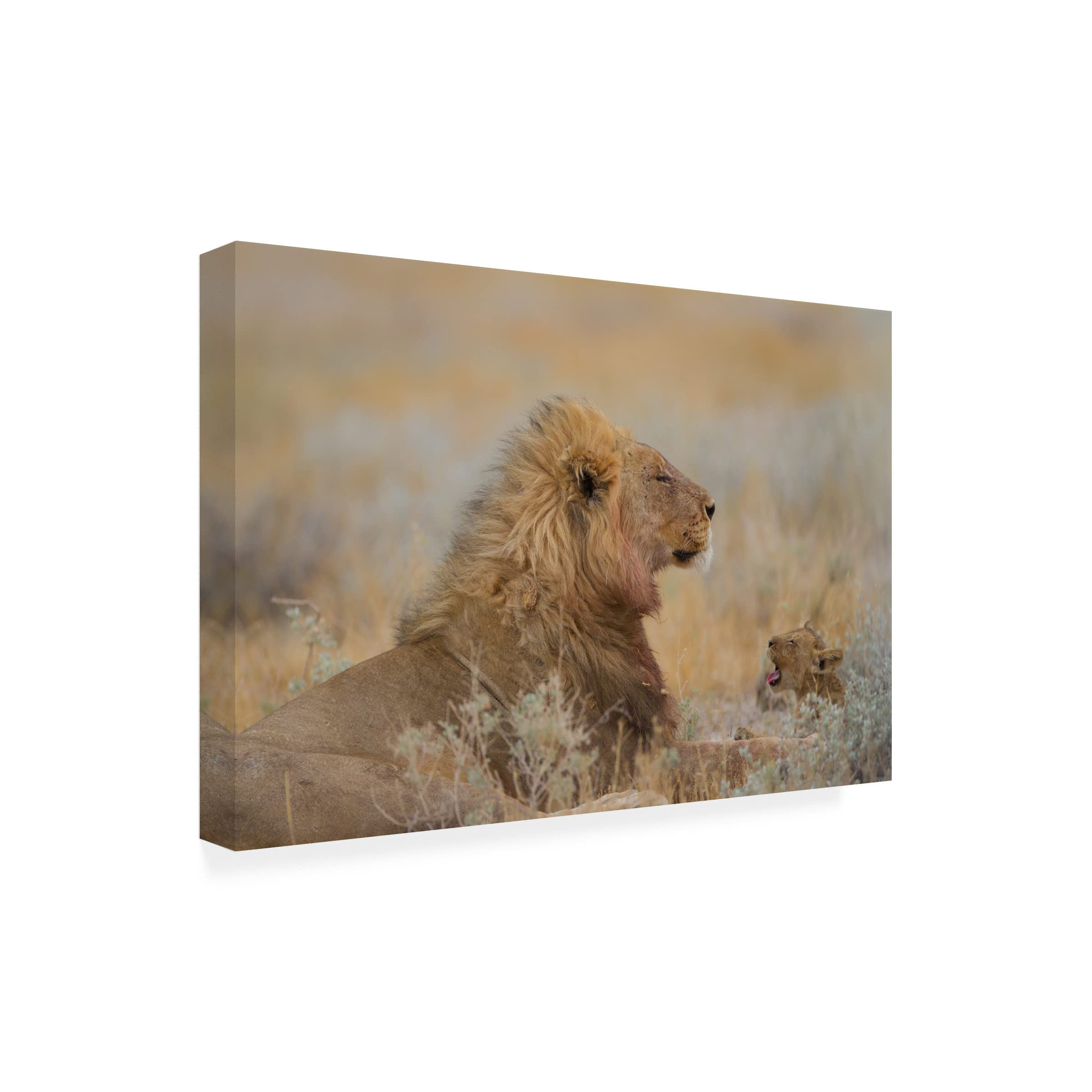Trademark Fine Art 'Male Lion With Cub' Canvas Wall Art by Ozkan Ozmen - Stunning Wildlife Decor for Living Room, Bedroom & Office