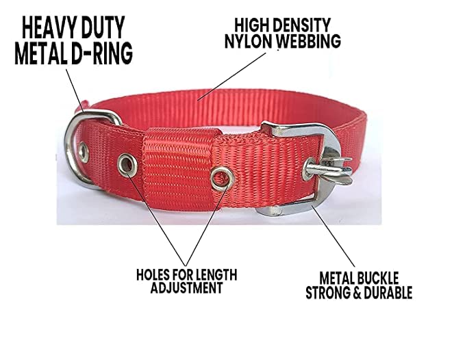 RvPaws Heavy Duty 1 Inch Nylon Dog Collar with 63 Inch Chain - Large Size Red Pet Accessories for Walking, Training & Outdoor Adventures
