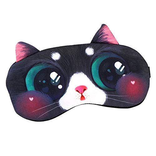 Cat #19