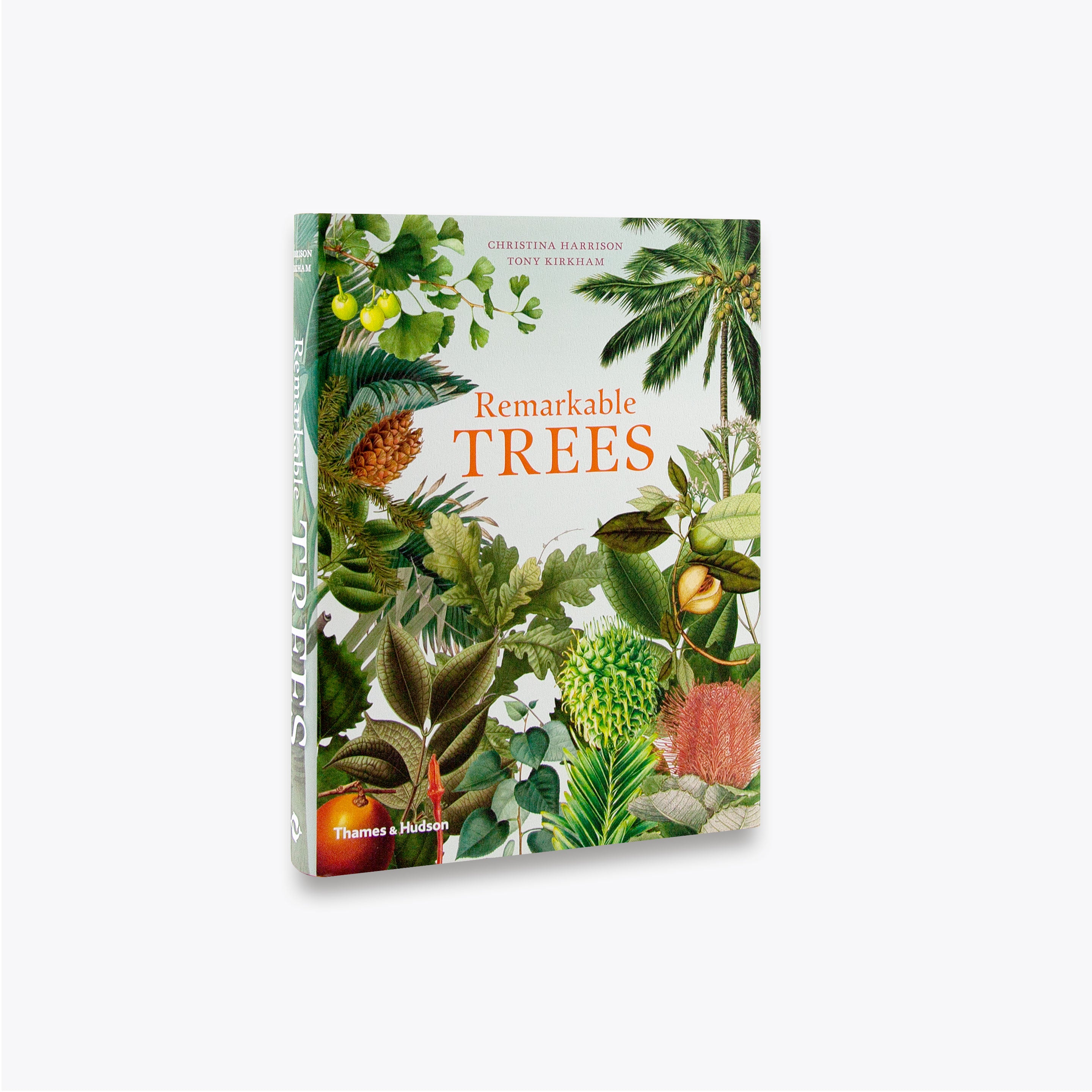 Remarkable Trees - Stunning Artificial & Real Trees for Home & Office Decor | Perfect for Living Rooms, Gardens & Outdoor Landscaping